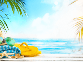 Essential Sunglasses for Every Type of Traveler